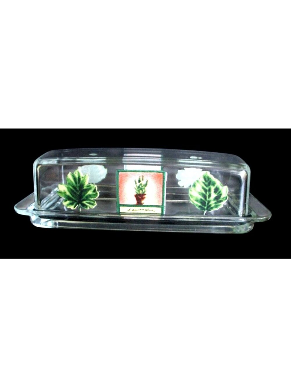 Pfaltzgraff Naturewood 1/4 LB Glass Butter Dish With Botanical Graphics